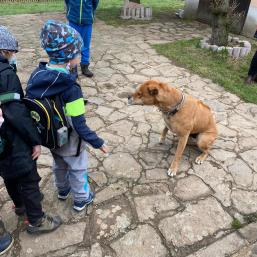 PROJEKTOVÝ DEN - MINIFARMA