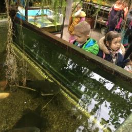 NÁVŠTĚVA BIOPARKU - GYMNÁZIUM TEPLICE