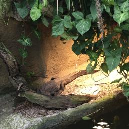 NÁVŠTĚVA BIOPARKU - GYMNÁZIUM TEPLICE