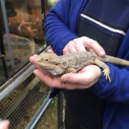 NÁVŠTĚVA BIOPARKU - GYMNÁZIUM TEPLICE