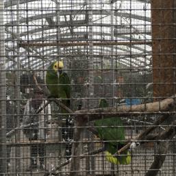 NÁVŠTĚVA BIOPARKU - GYMNÁZIUM TEPLICE