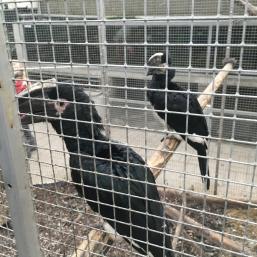 NÁVŠTĚVA BIOPARKU - GYMNÁZIUM TEPLICE