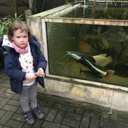 NÁVŠTĚVA BIOPARKU - GYMNÁZIUM TEPLICE