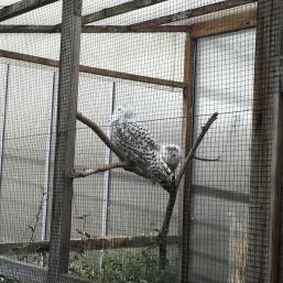 NÁVŠTĚVA BIOPARKU - GYMNÁZIUM TEPLICE