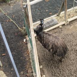 NÁVŠTĚVA BIOPARKU - GYMNÁZIUM TEPLICE