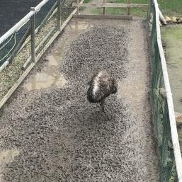 NÁVŠTĚVA BIOPARKU - GYMNÁZIUM TEPLICE