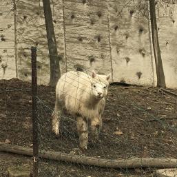 NÁVŠTĚVA BIOPARKU - GYMNÁZIUM TEPLICE