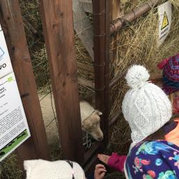 NÁVŠTĚVA BIOPARKU - GYMNÁZIUM TEPLICE