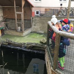 NÁVŠTĚVA BIOPARKU - GYMNÁZIUM TEPLICE