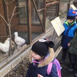 NÁVŠTĚVA BIOPARKU - GYMNÁZIUM TEPLICE